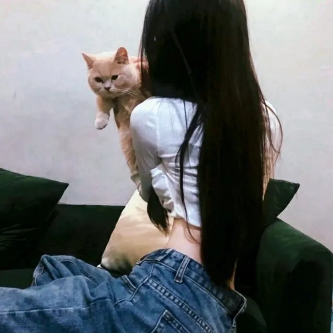 亚马逊萌猴奇遇记